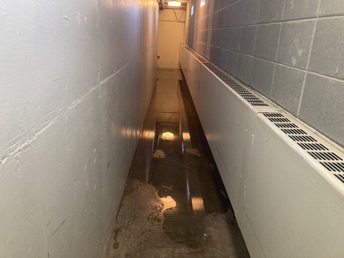 Daddynutron's tweet photo. Hey @DruryUniversity instead of dedicating all your money to a new building you should have some respect for your students/staff who have to deal with the sewage flooding you guys never fix. Disrespectful and shameful No student should have to deal with this for a degree https://t.co/fFdQ5PzyaF