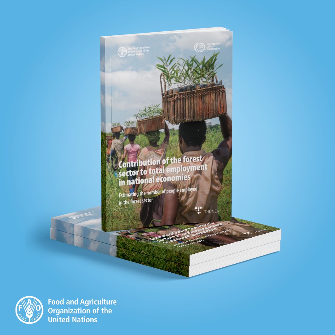 📢 Hot off the press!

Download a free @FAO,  @ilo and @Thuenen_aktuell publication:

Contribution of the forest sector to total employment in national economies

👉 bit.ly/3ic2RaM

#SOFO2022 @FAOKnowledge