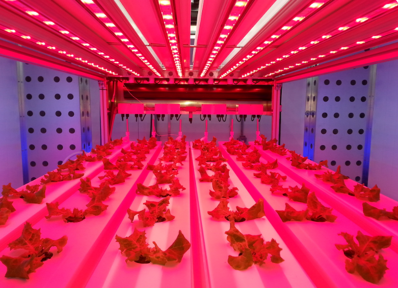 UofGuelphOAC's tweet photo. What would it take to grow food on a space station, the surface of the moon, or even Mars?

Dr. Mike Dixon, Controlled Environment Systems Research Facility, interviewed by master of landscape architecture student for @OALA_ON to discuss food in space!

https://t.co/KBg89hj9Kr https://t.co/MpttOwzSzu