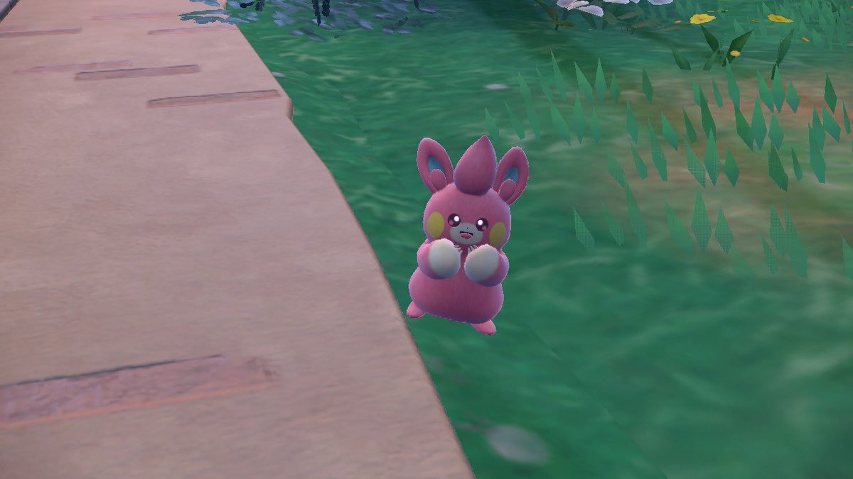 Spooky_Chu's tweet photo. Shiny Pawmi! After 6 phases https://t.co/bmr0Y1TzOB