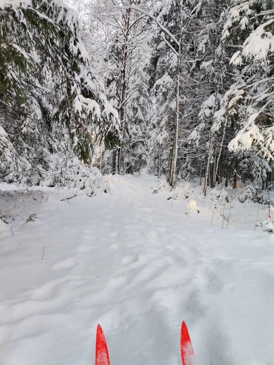 DilleIeva's tweet photo. #Winter#White Forest https://t.co/EYgMVfbVek