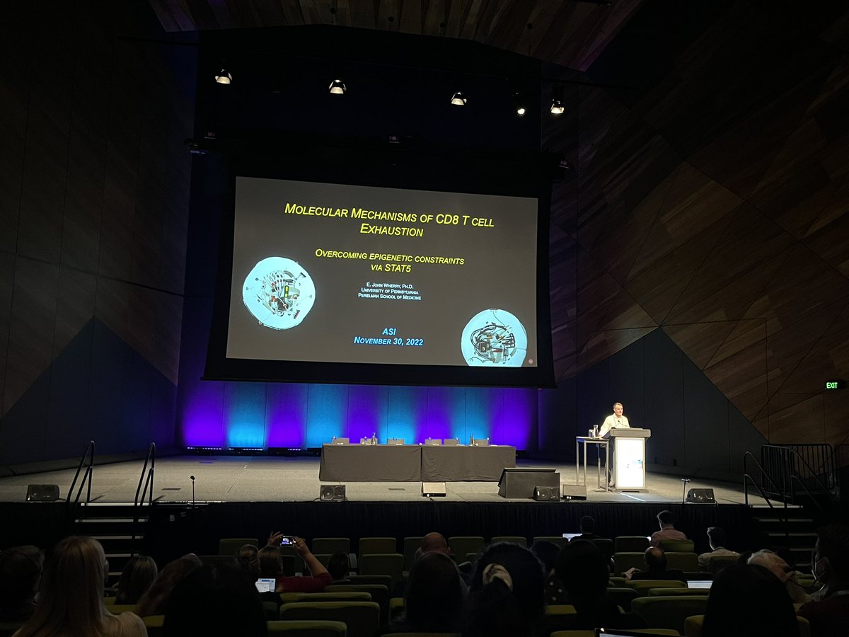 Bright and early at @ASImmunology #ASI2022MEL with @EJohnWherry and exhausted #Tcells! His papers sparked so many ideas for my #Tcell #chemoimmunotherapy #PhD!