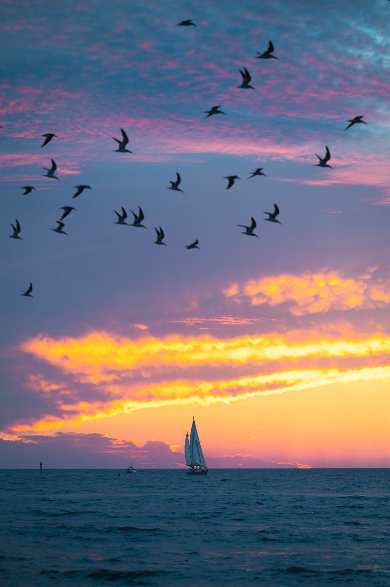 If you're too busy to stop and enjoy a sunset this holiday season, you're just too busy. 🤟🌅 #TreasureIslandBeach #Florida