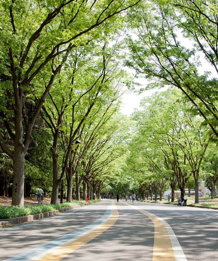 Karla (@karlaposada9) on Twitter photo 