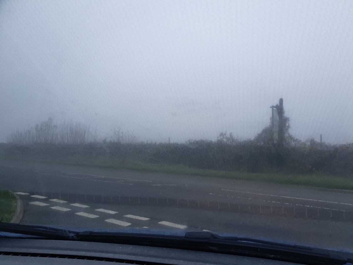 Ros Dobson tweet media