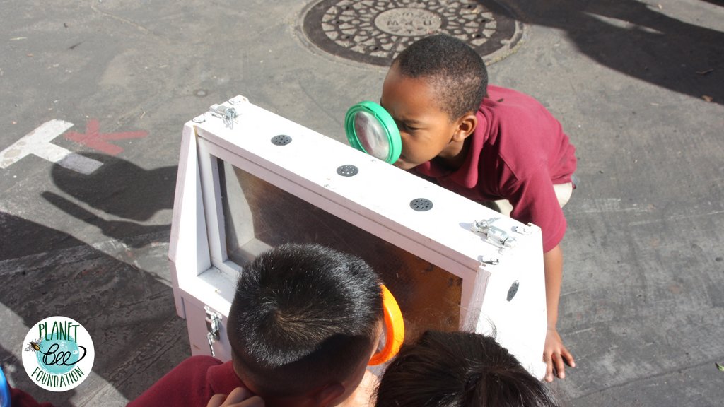 Today is #GivingTuesday! Please donate to Planet Bee and support our mission to change the world - one bee and one student at a time. 

Your donation supports hands-on learning programs that we offer to schools and nonprofits at no cost. 

Donate today at planetbee.org/donate-to-plan…