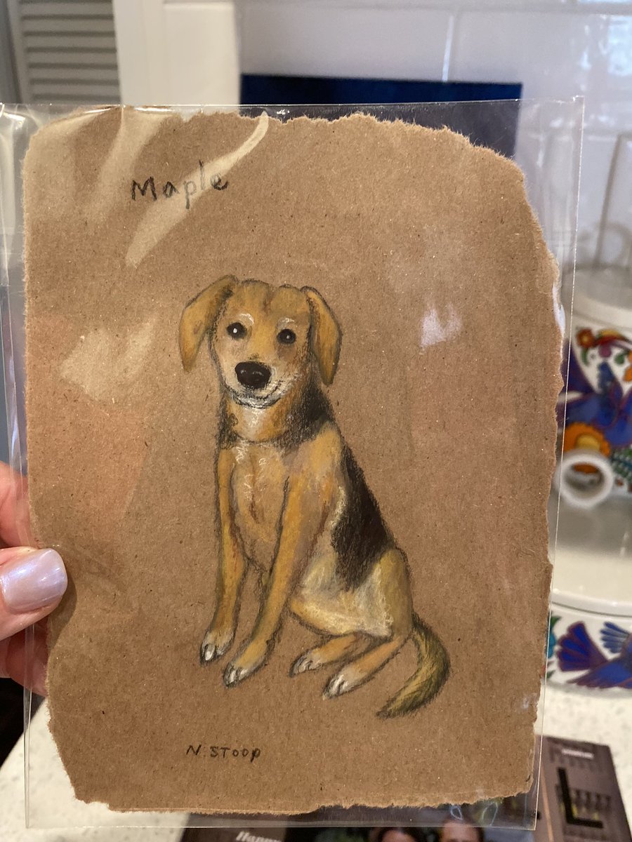 RachelGurwitz's tweet photo. Maple’s sweet smile perfectly captured by @naokosstoop ! Thank you so much. I am in love!        ❤️🐾🐾❤️ https://t.co/rCdcQYc1Xr