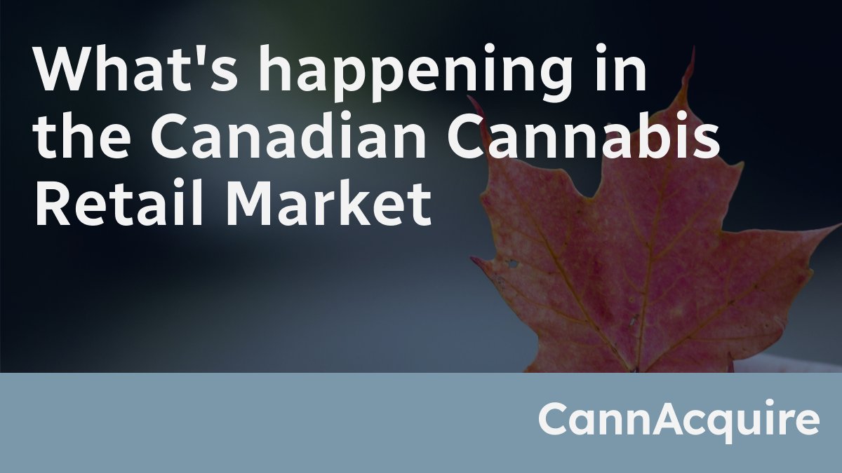 The Canadian Cannabis Retail Market has begun to reach a saturation point, with many independents closing their businesses or being acquired by larger chains.

#cannabisindustry #cannabis #acquisition #selling #buying #CannAcquire #businessowners #cannabisretail #opportunities