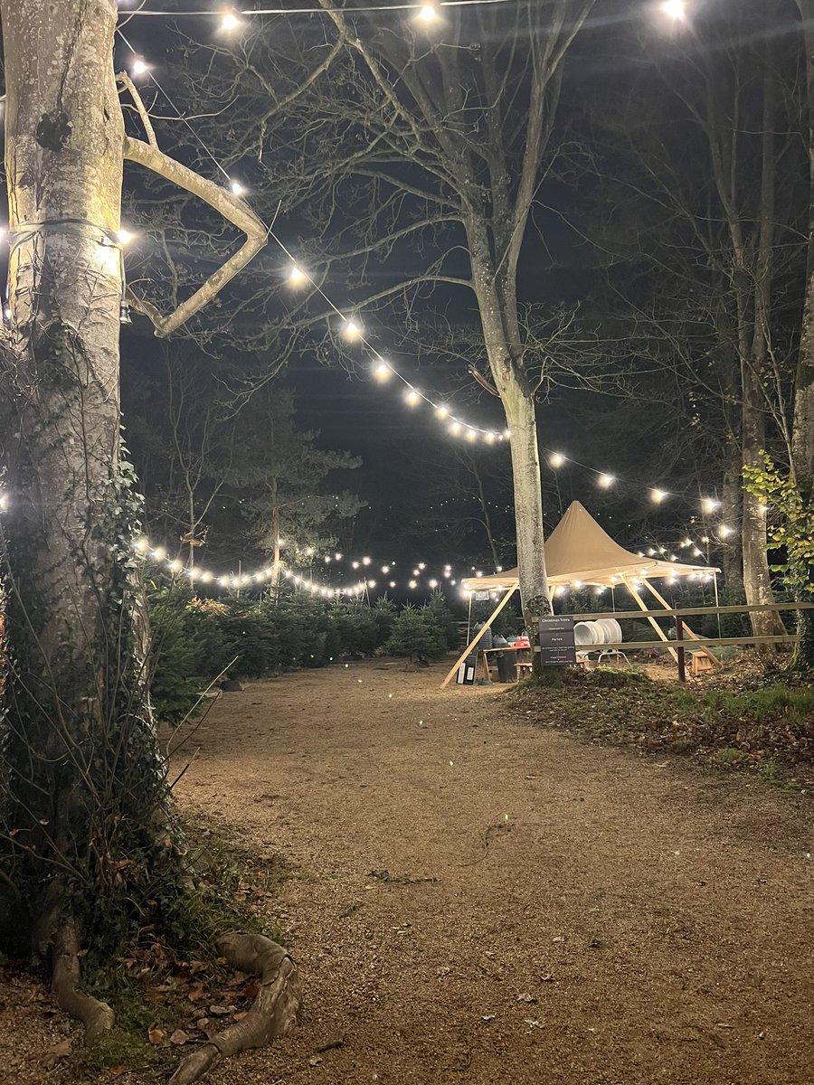 We’ve got a festive late night opening this Thursday 1st Dec down in the ‘woods. Come get a real tree, enjoy hot chocolate, tasty treats and some amazing goodies from Shap