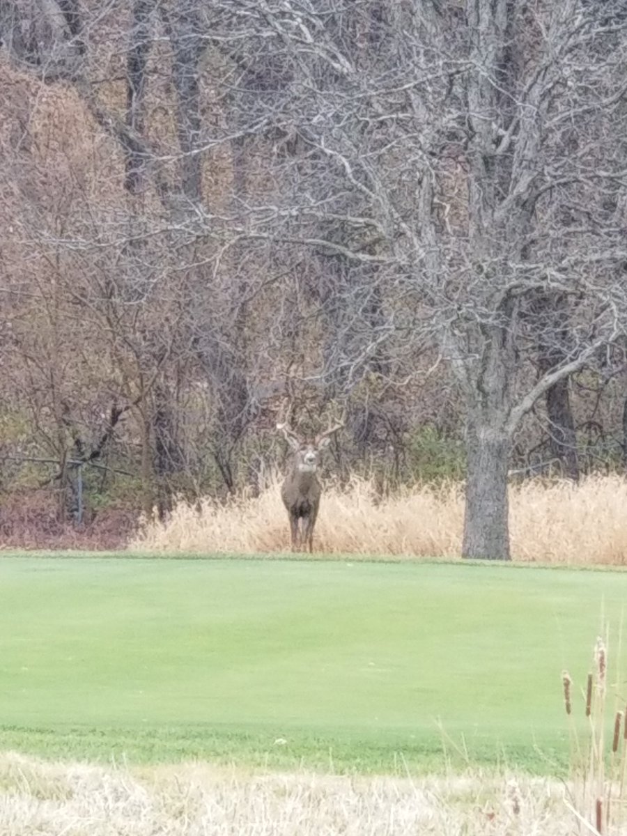 Tim Gravert tweet media