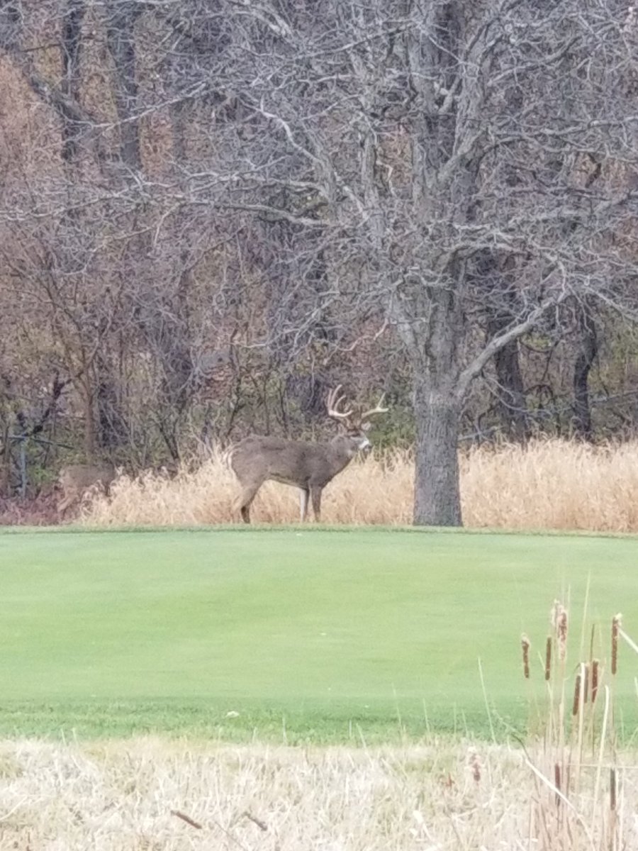 Tim Gravert tweet media