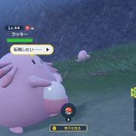 ラッキーの本音「転職したい」。ポケモンセンターはブラック企業なのか!？
