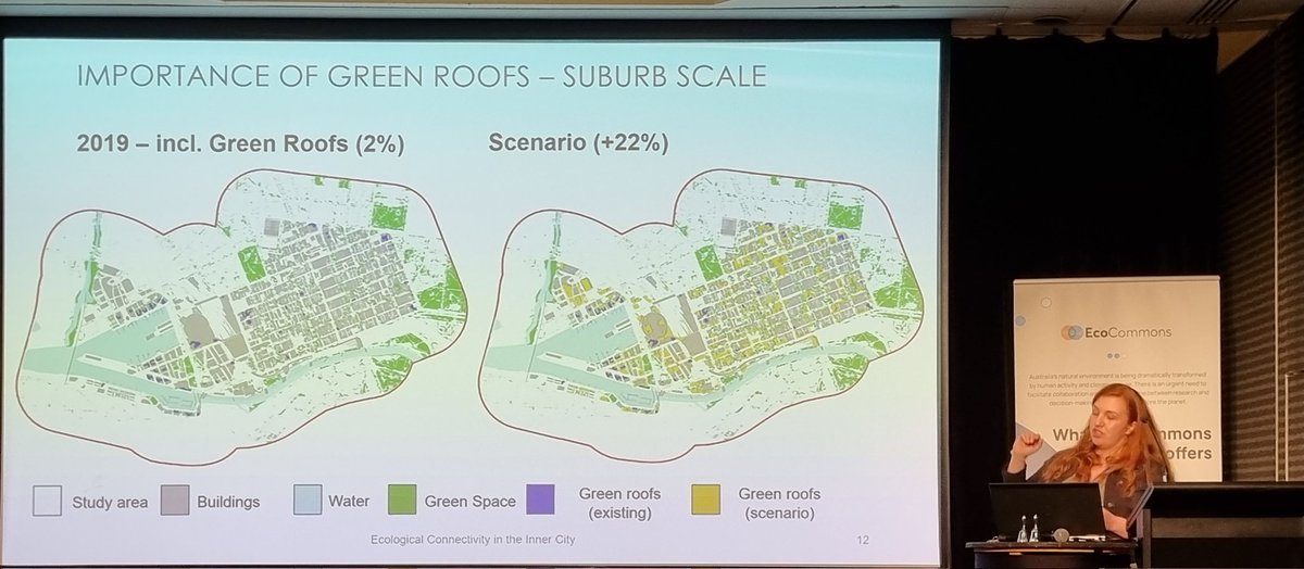 Matthew Hall tweet media