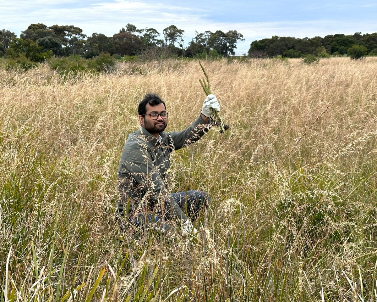BellBayside's tweet photo. It was great to have employees from the Melbourne office of @vysusgroup join us again for their business volunteer day!

Thank you to the team who helped our Conservation Crew to improve the coastal environment by removing weeds and planting indigenous seedlings. https://t.co/ZpknvmIQaL