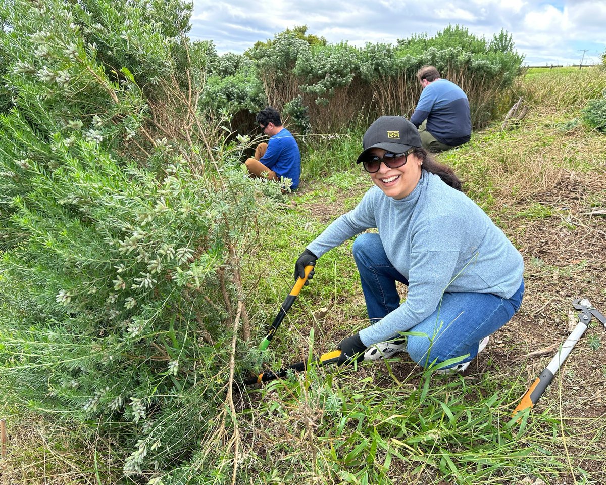 It was great to have employees from the Melbourne office of <a href="/vysusgroup/">Vysus Group</a> join us again for their business volunteer day!

Thank you to the team who helped our Conservation Crew to improve the coastal environment by removing weeds and planting indigenous seedlings.
