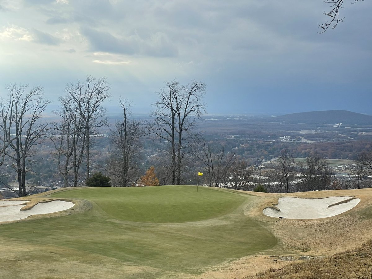 Tommy Hewitt tweet media