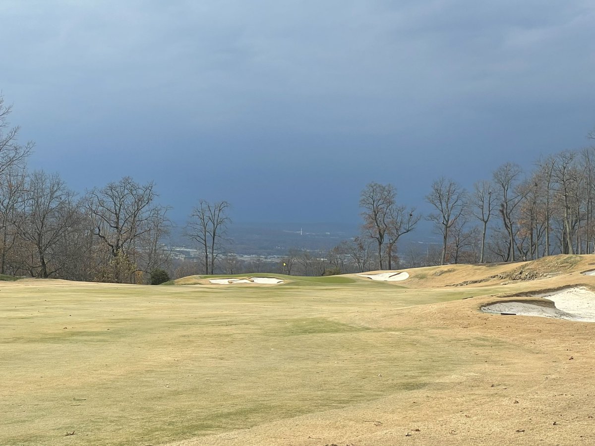 Tommy Hewitt tweet media