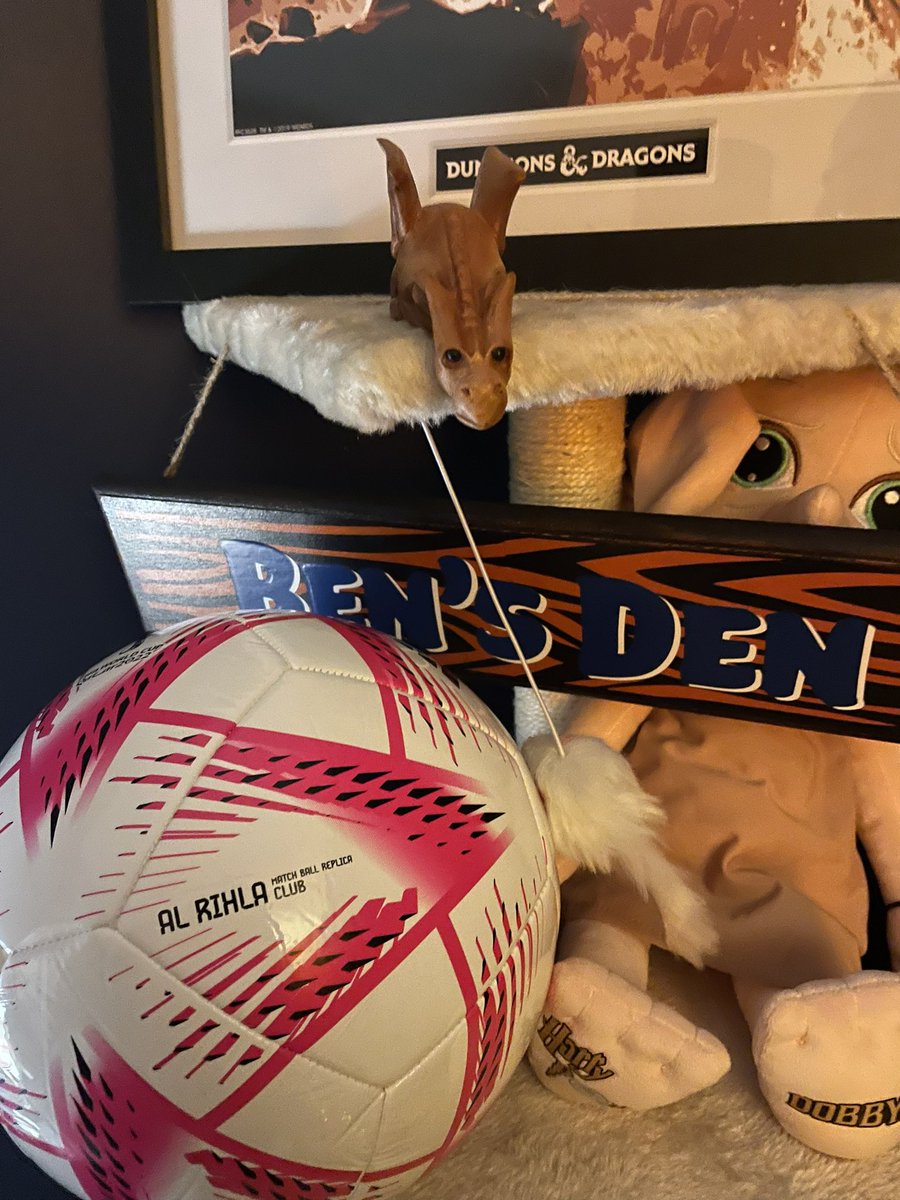 BenLegacyOfLove's tweet photo. Delighted that a raffle which took place at St Mary’s Stadium during the @quantuma1 hosted ENGvWAL World Cup match has produced over £500 for Ben’s Fund with @CCLG, as well as a World Cup replica football donated by its winner on the night. #humanityrocks https://t.co/5SdtTGqAQH
