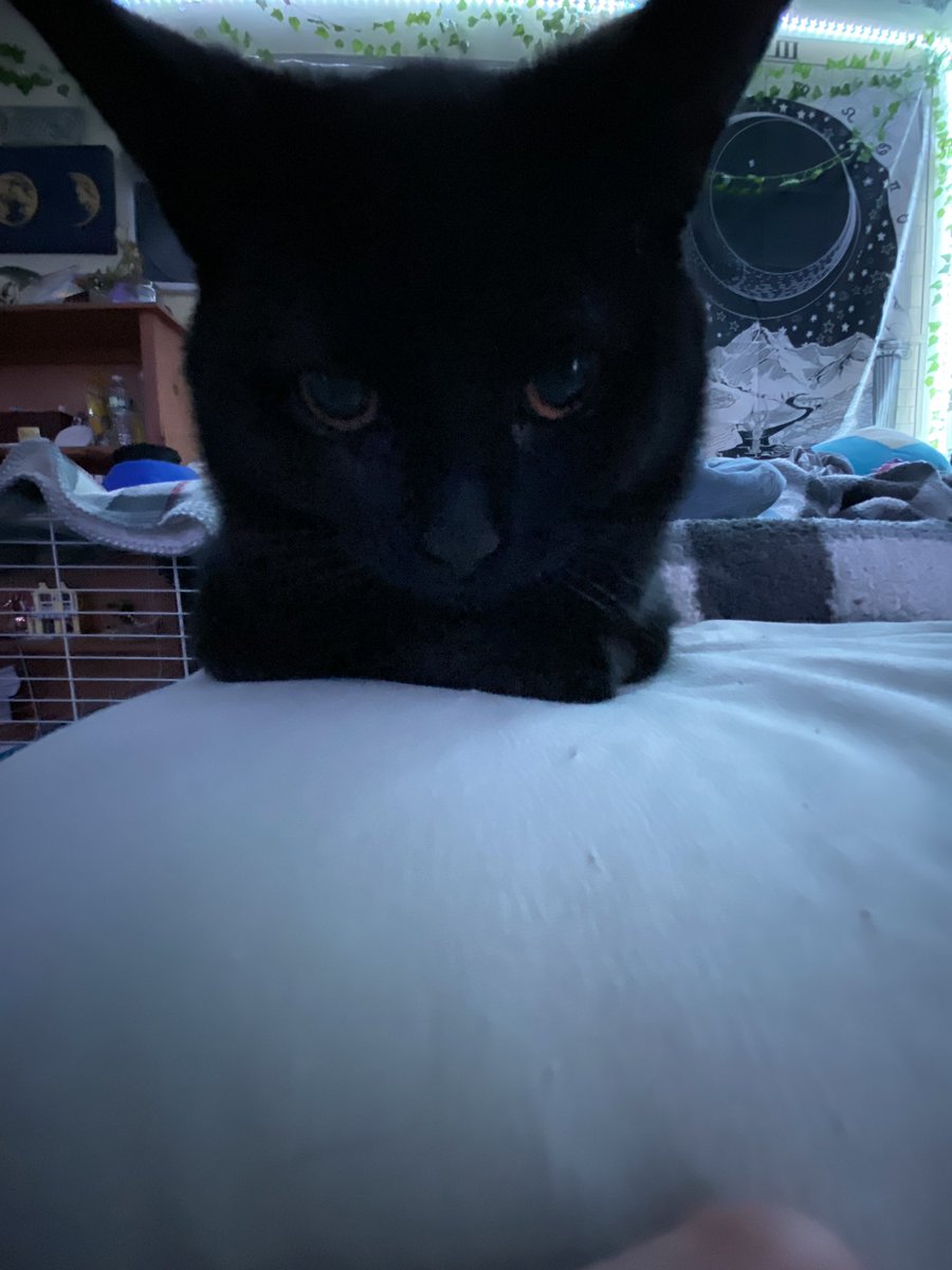 nellanw4's tweet photo. @gutterg0re fav angle https://t.co/9aHtcOpjsZ