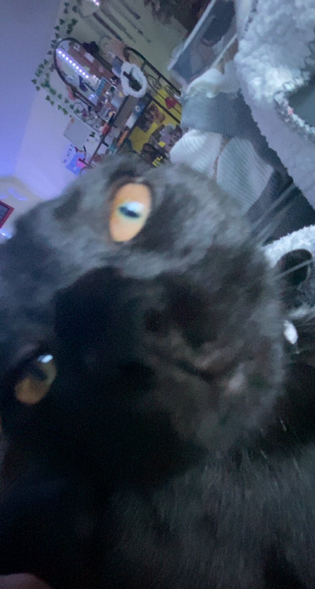 nellanw4's tweet photo. @gutterg0re fav angle https://t.co/9aHtcOpjsZ