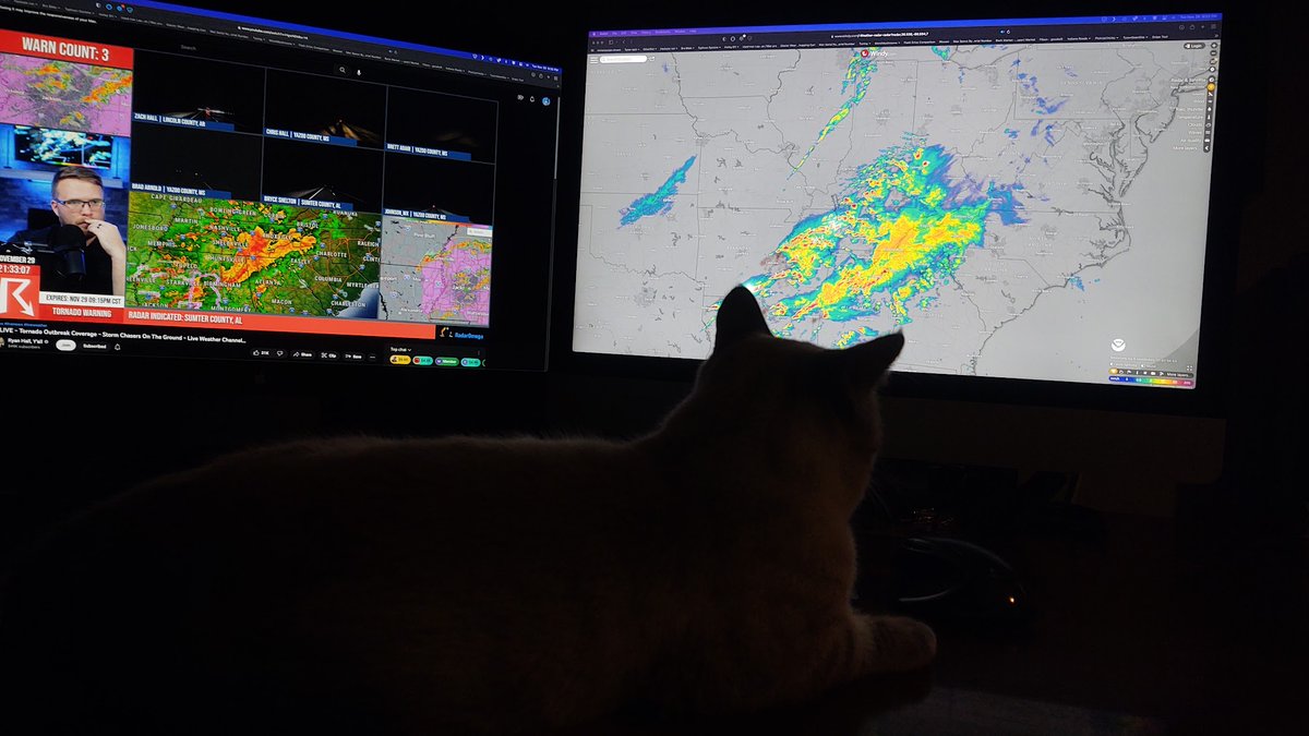 MacG5User's tweet photo. Me and KitCat watching  @ryanhallyall 
Y'all check him out on YT.
https://t.co/rGUUp5qPoj https://t.co/IuUONyWfVj