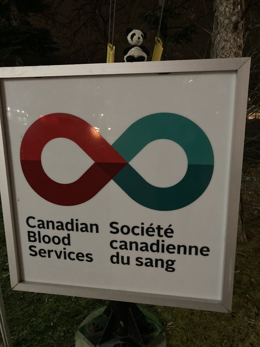 Adventure_Gauss's tweet photo. Went with my human to give blood today. I made sure we had a snack beforehand and a snack afterwards. #supportBear #GiveBlood #CanadasLifeline #blood #snacksAreImportant @CanadasLifeline @HemaQuebec https://t.co/7KlxO8YI4N