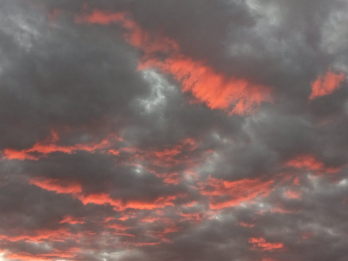 TruthYujin's tweet image. 