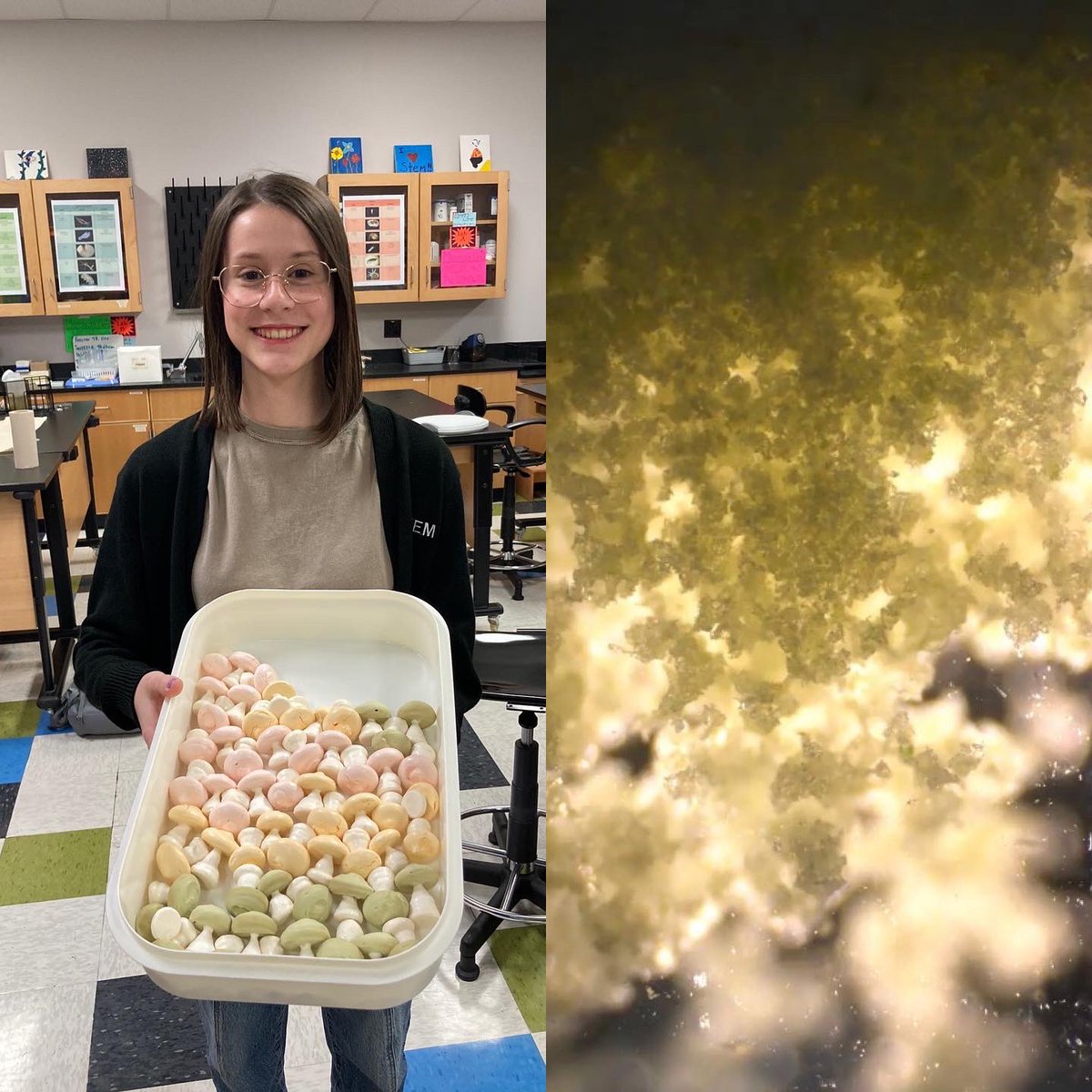 4kStem's tweet photo. It’s that time of year: the annual 4K Thanksgiving was today!! 🍂🦃 We’re thankful for the amazing opportunity to use a world-reknowned microscope on a fab team, which is why we made sure to view some of our dishes under the scope! @STEMcha 

#stem4k #microscope #stem #science https://t.co/yjX6tsKJu0