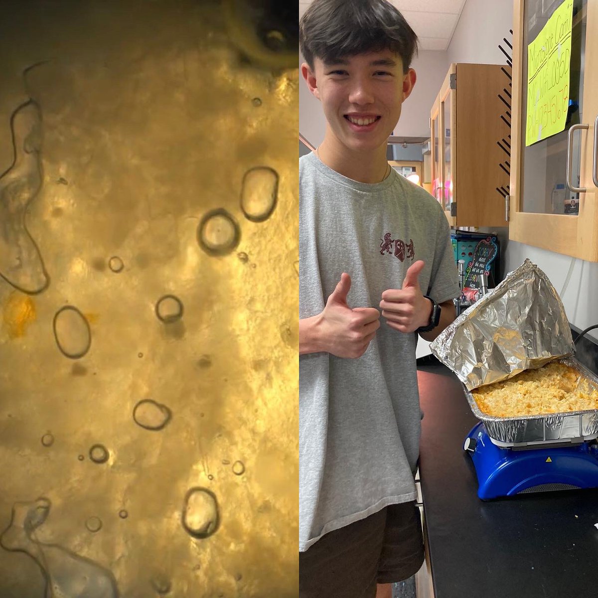 4kStem's tweet photo. It’s that time of year: the annual 4K Thanksgiving was today!! 🍂🦃 We’re thankful for the amazing opportunity to use a world-reknowned microscope on a fab team, which is why we made sure to view some of our dishes under the scope! @STEMcha 

#stem4k #microscope #stem #science https://t.co/yjX6tsKJu0