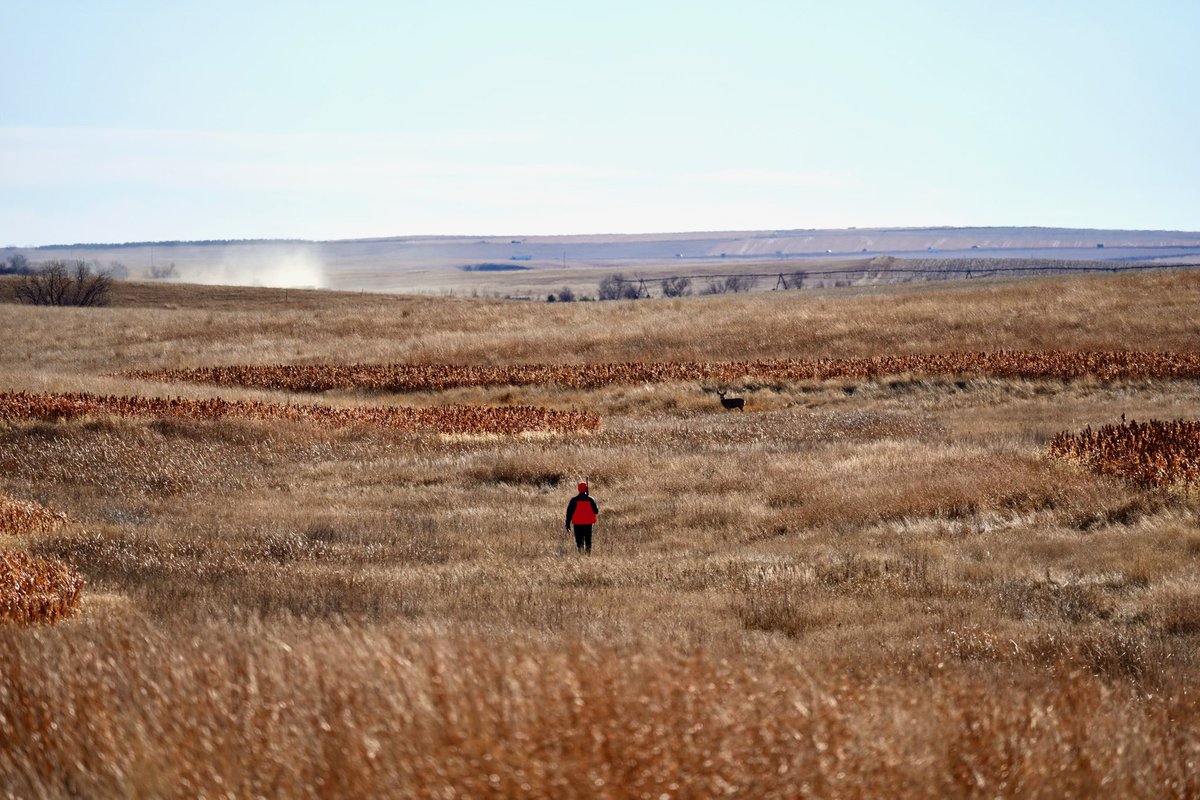 My father, brother, and I pheasant hunted in Kennebec, SD, on Sunday.  I’m very proud to call a state with views like this “home.” Big thanks to my dad’s friend, Steve, for the invite and photos. #SoDak
