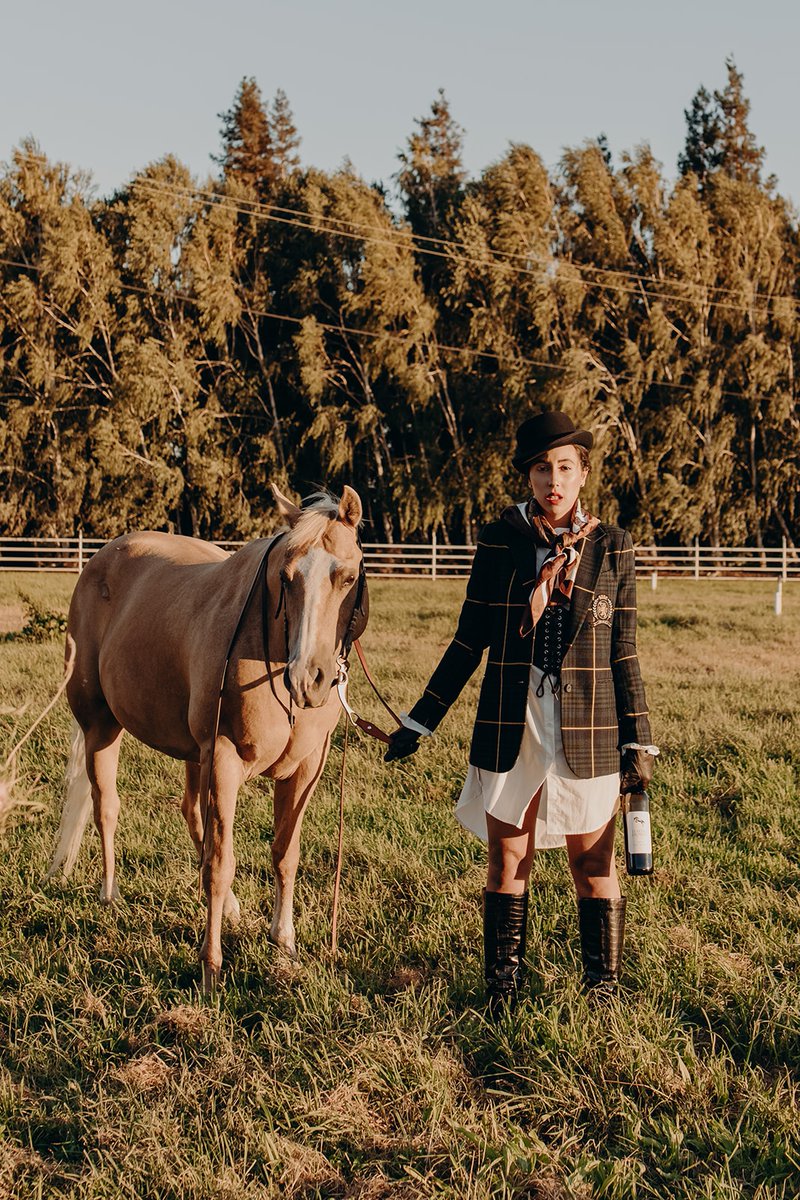 leapinghorse's tweet photo. Don't show up empty handed this holiday season— Leaping Horse Vineyards makes a great host &amp; hostess gift. Purchase today at https://t.co/h2jxpHF2Mm https://t.co/vQYSIuLM00