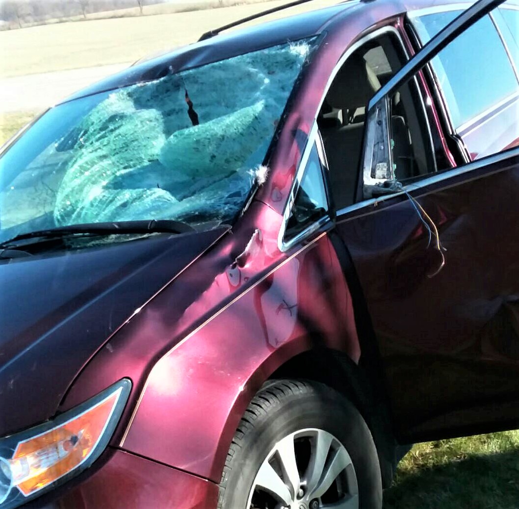 Feeling a little more grateful these days, after hitting a deer on Saturday. Def something I won't forget. Be careful out there! It was 11am (not dusk or dawn). They run more during #HuntingSeason.

#grateful #thankful #unforgettable #inspiration #caraccident #deer #guardianangel