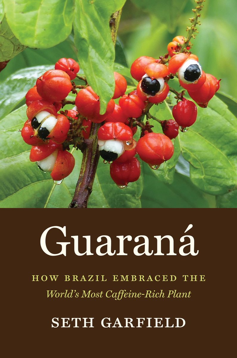 UT_HistDept's tweet photo. Seth Garfield's "Guaraná: How Brazil Embraced the World's Most Caffeine-Rich Plant" @UNC_Press Dec. 2022 is already receiving national recognition, including 3 nominations for 2023 Best in the World “Food Culture” &amp; "Drink Culture/History" awards by Gourmand @thecookbookfair. 1/2 https://t.co/xeLeaWFvBI