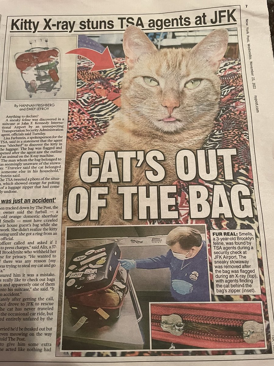 cehickey1's tweet photo. @EeescalSassy @KTLA The cat crawled into the bag: https://t.co/s7WLfLIqWK