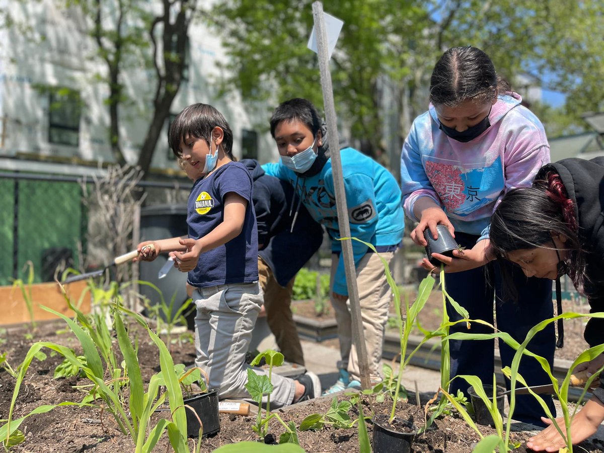 EastieFarm's tweet photo. 𝐖𝐡𝐞𝐧 𝐭𝐡𝐞 𝐠𝐨𝐢𝐧𝐠 𝐠𝐞𝐭𝐬 𝐭𝐨𝐮𝐠𝐡, 𝐭𝐡𝐞 𝐭𝐨𝐮𝐠𝐡 𝐠𝐞𝐭 𝕘𝕣𝕠𝕨𝕚𝕟𝕘. The pandemic was a test. In response, we grew food; we grew as people; and we grew a greenhouse! Our action adventure continues. Join us: https://t.co/geH2B7jdMO

https://t.co/SS8kvwv9Kw https://t.co/8MlHHI9Lk6