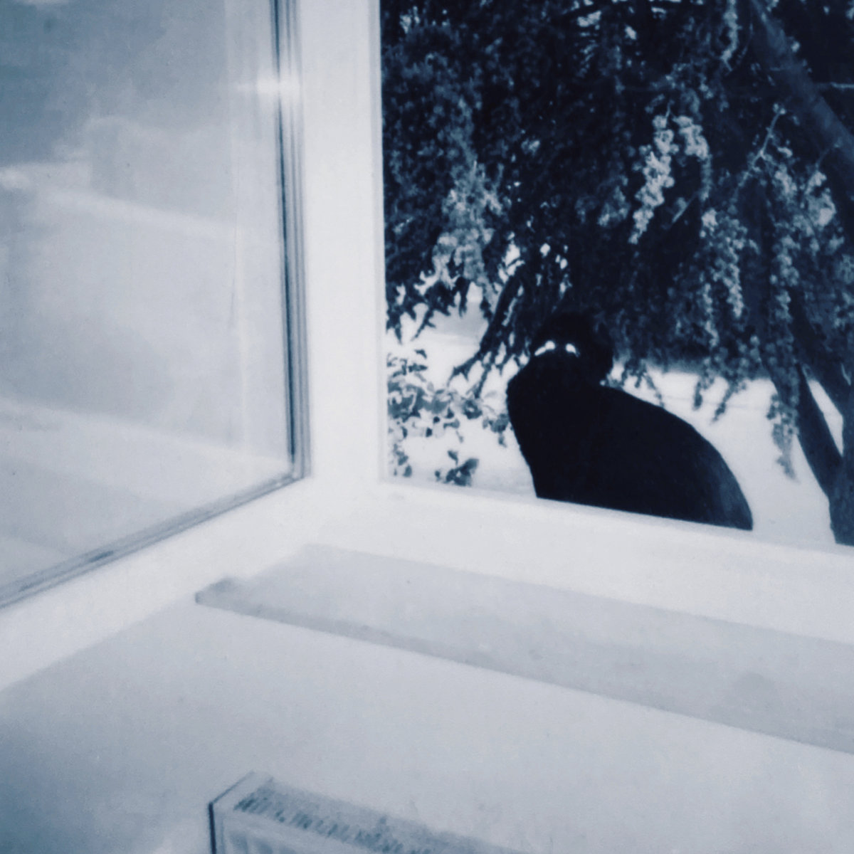 1. Now Playing On The Shoegaze Collective Radio Show on DKFM: Lucaspaducas - " A Souvenir Of Poison For The Trouble" (Treble) - 2022.