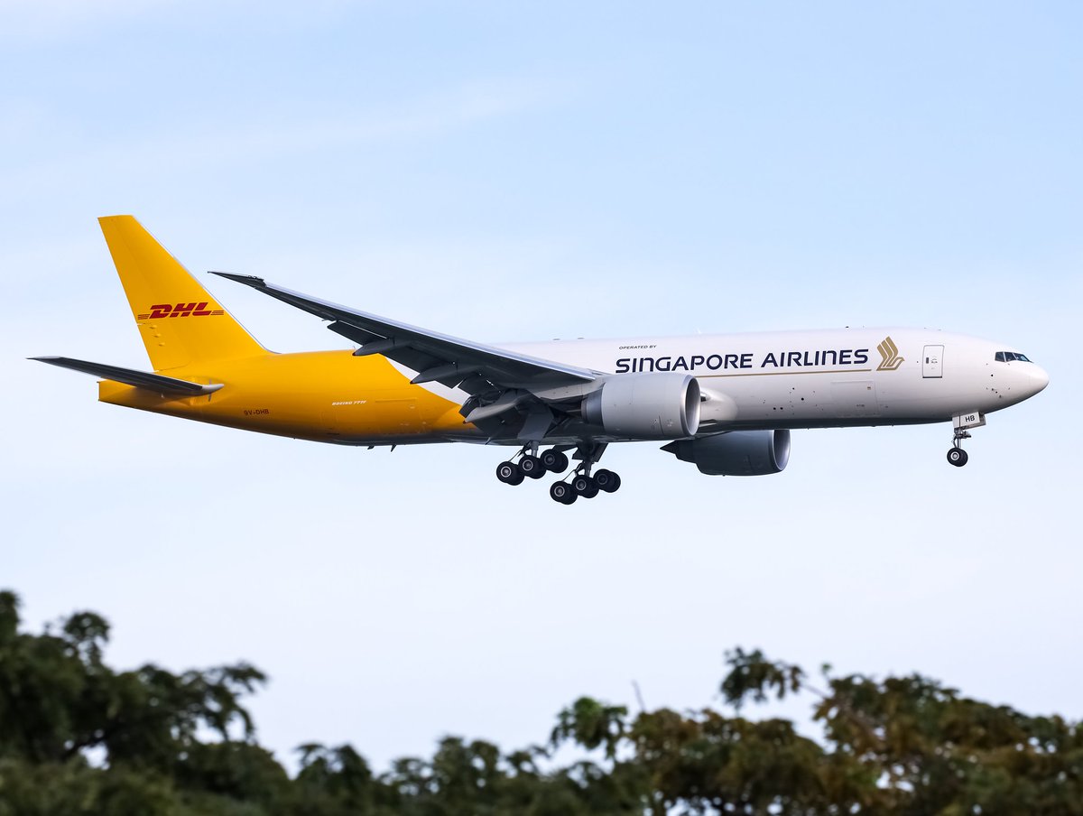 johnkkho's tweet photo. DHL Operarated By Singapore Airlines Cargo
9V-DHB Boeing B777-F #changiairport https://t.co/YmT4fNOC9z