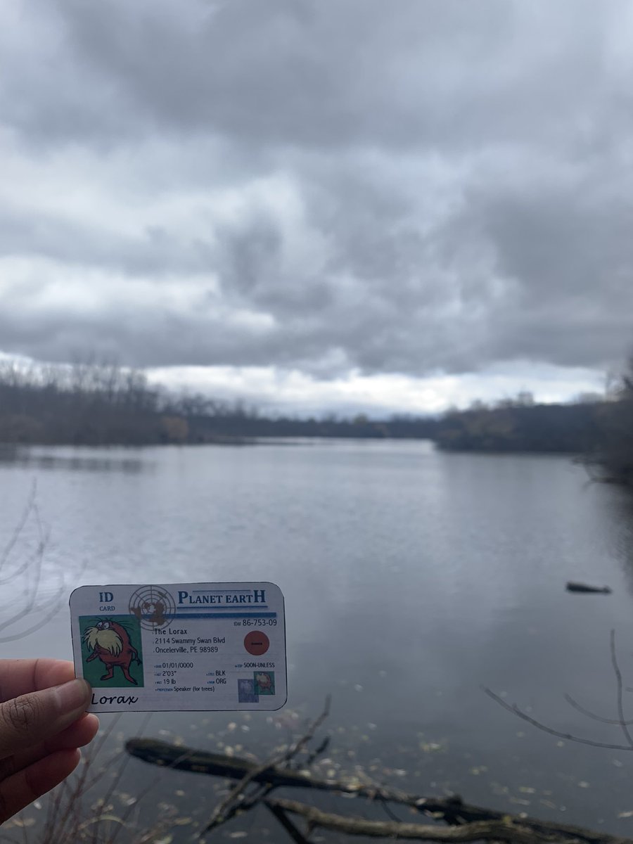 ava_yank's tweet photo. The Whitnall park pond is home to Panfish and other organisms but rainwater runoff from impermeable surfaces like concrete parking lots can be harmful to them and their habitat . Many pollutants are washed off these surfaces and into the pond.  #apeswater @franklinlorax https://t.co/SuNvChs9f0