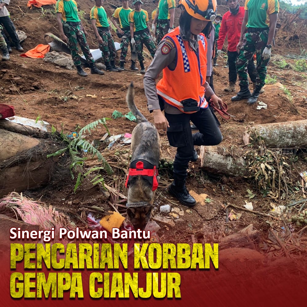 futurejmv13's tweet photo. Sinergi Polwan terus lakukan bantu pencarian korban hilang akibat pasca Gempa Cianjur
#SinergiBantuRakyat
Semangat Untuk Bangkit https://t.co/cCdJrGY0HO