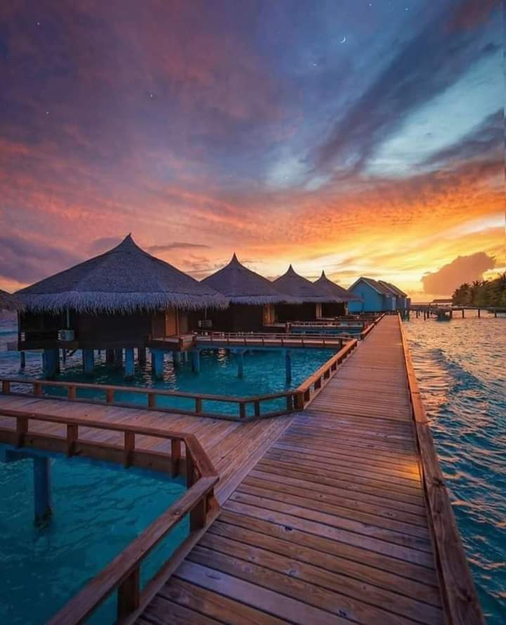 sexyparejatv's tweet photo. Mágico atardecer en las Maldivas🇲🇻 https://t.co/IqSixgurA2