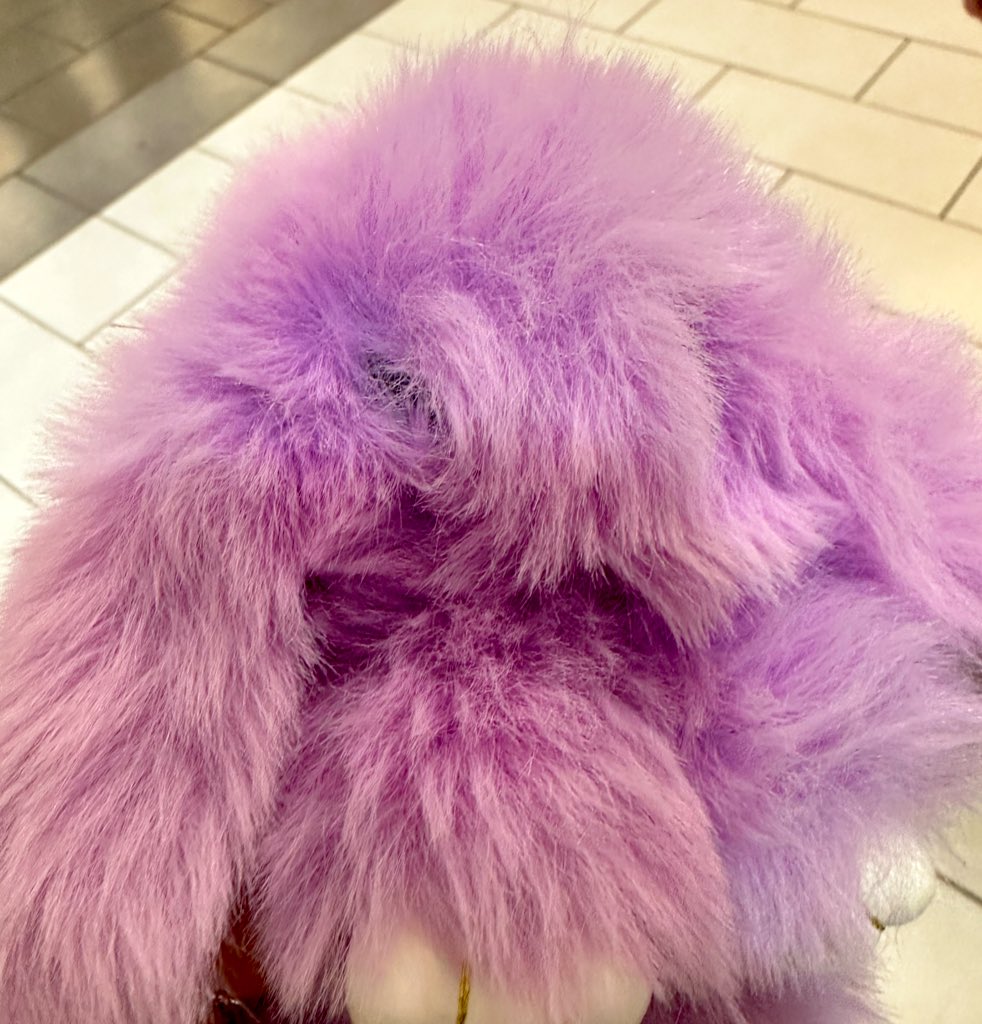 하츠토리님 밖에 계시길래 냉큼 샀어요…