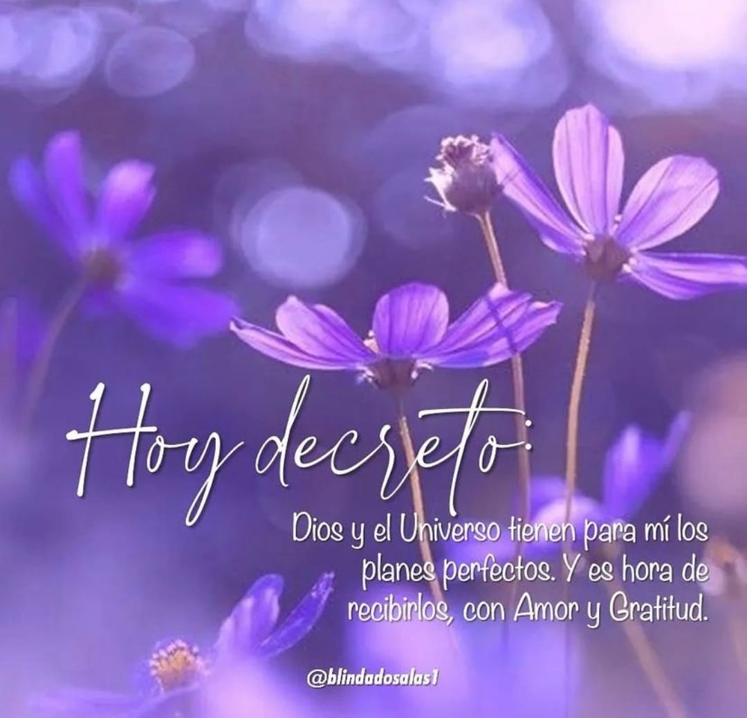 Dios y el Universo tienen para mí los planes perfectos. 💯✨ Y es hora de recibirlos con Amor ❤😘 y Gratitud 
#DiosyelUniversotienenparamílosplanesperfectosYeshoraderecibirlosconAmor❤😘