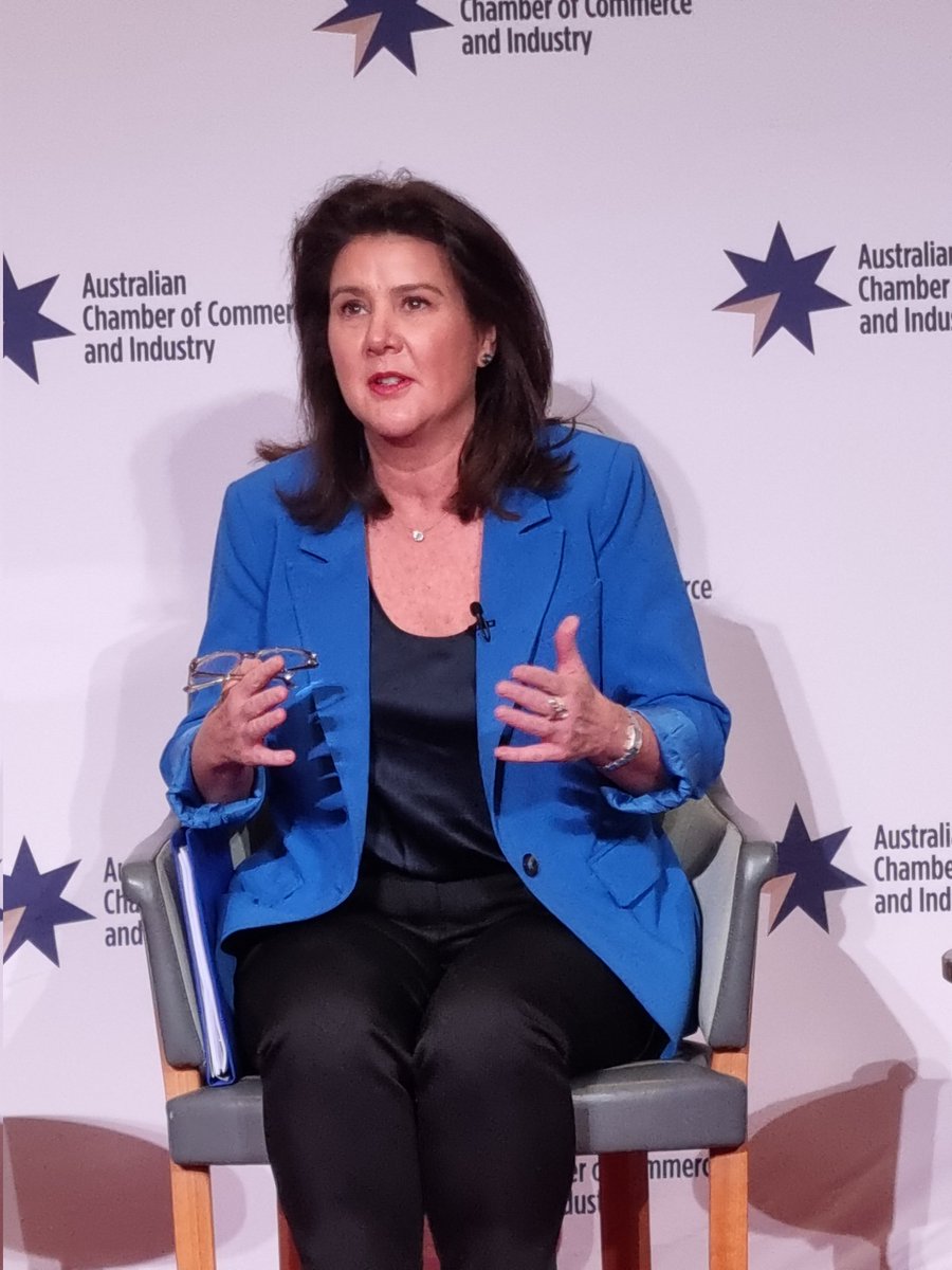 kazsobels's tweet photo. Thought provoking discussion with @SenatorHume Paul Bloxham  and Dr Alan Dupont on our geopolitical challenges and the need for resilience at @ACCINews  in Canberra today. https://t.co/vp5xQvV5xP