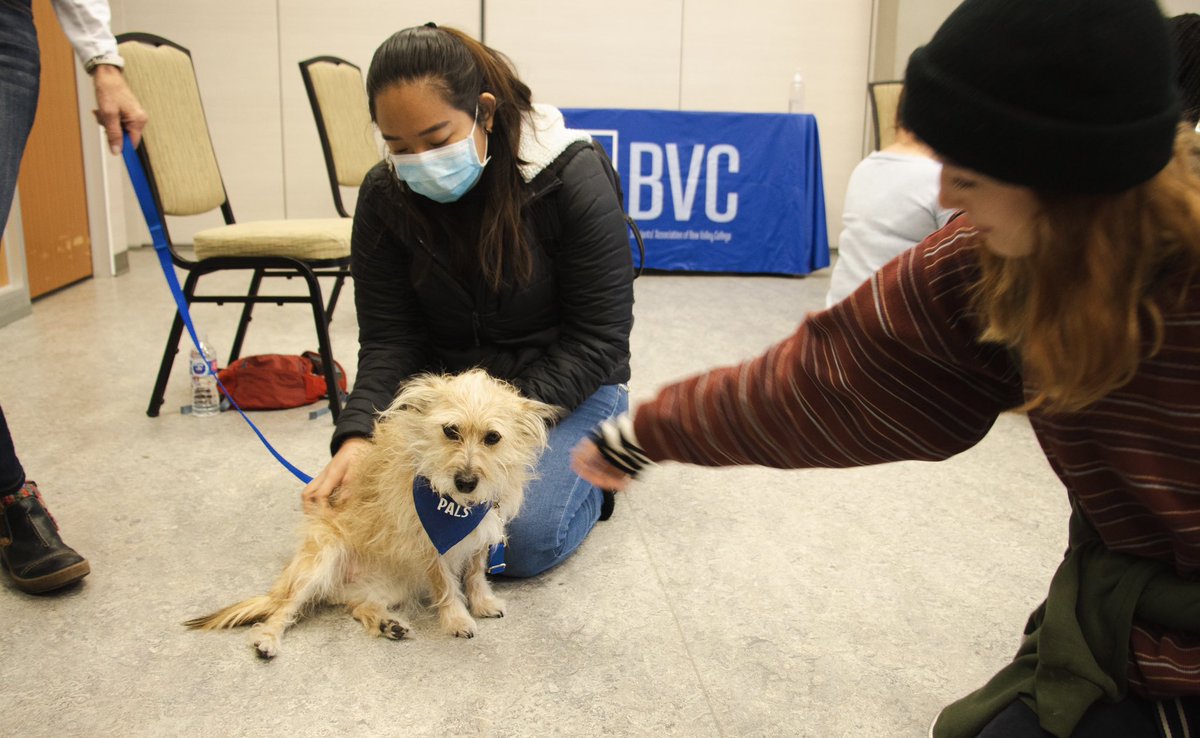 SAofBVC's tweet photo. Thank you to our pals at @PALSCalgary for stopping by today to be a part of our Stress Less Week! 🐾❤️
#sabvc #bvcnow #bvcbold #bvcevents #studentevents #pettherapy #stressless #bowvalleycollege https://t.co/H2rvrlF3CU