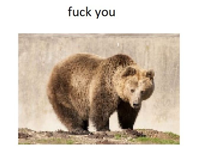 marculino.png 🌲🥩 tweet media