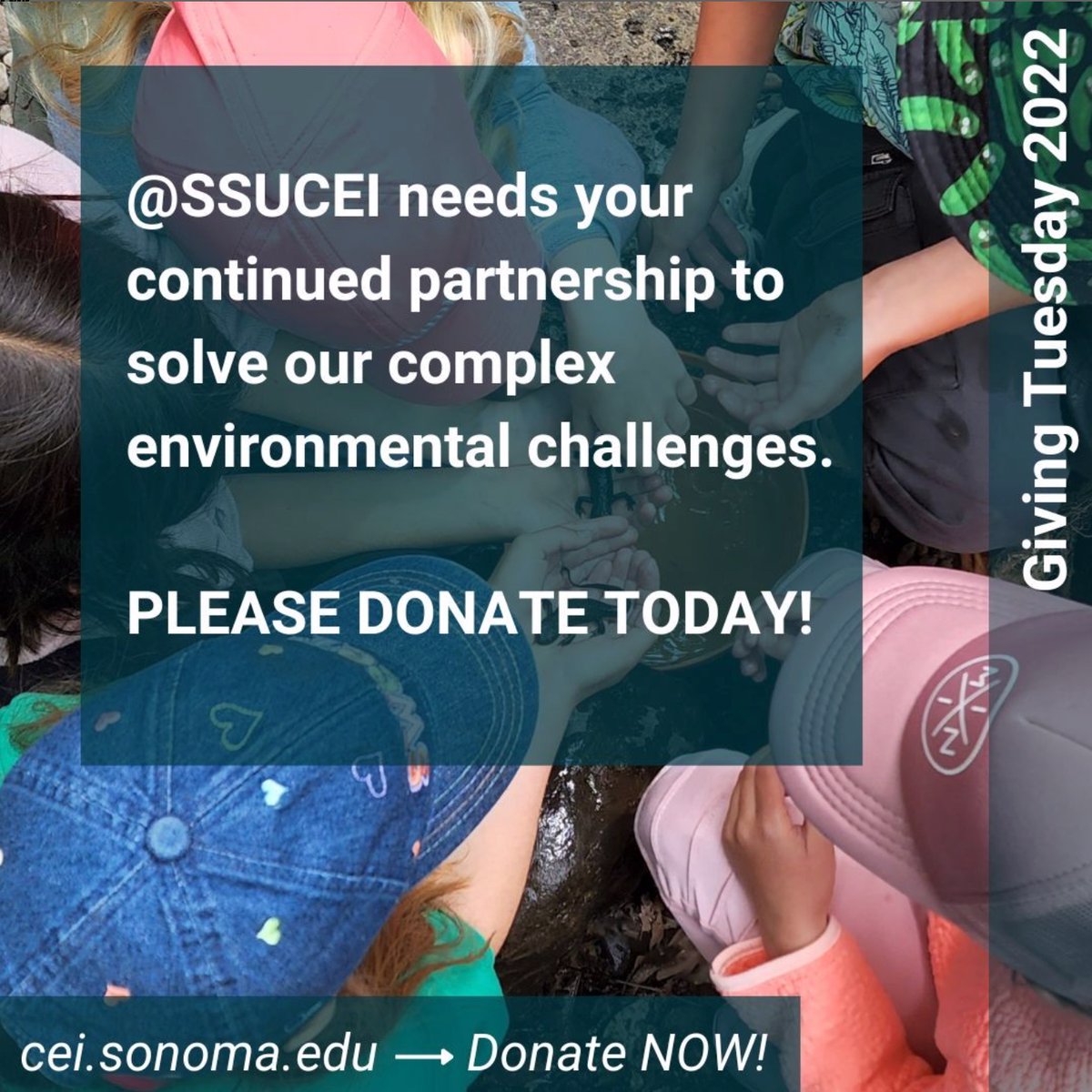 On this #GivingTuesday please consider donating to help the Center continue to bring people together to solve and mitigate the climate and sustainability challenges we face.
 cei.sonoma.edu