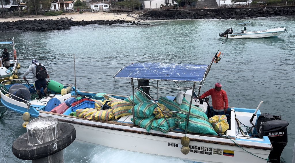 TUNACONSorg's tweet photo. Fin de la jornada de limpieza de playas y submarina.

#IniciativaCuidandoGalápagos
📍San Cristóbal
🚻+60 voluntarios
🛶 8 embarcaciones
🤿 10 buzos 
🗑️ 1.381 kilos de basura recogida. 

Colaboramos juntos por un ecosistema marino sano. 
@pesqueriaec @LaFENACOPEC @parquegalapagos https://t.co/Gbioh2be1I