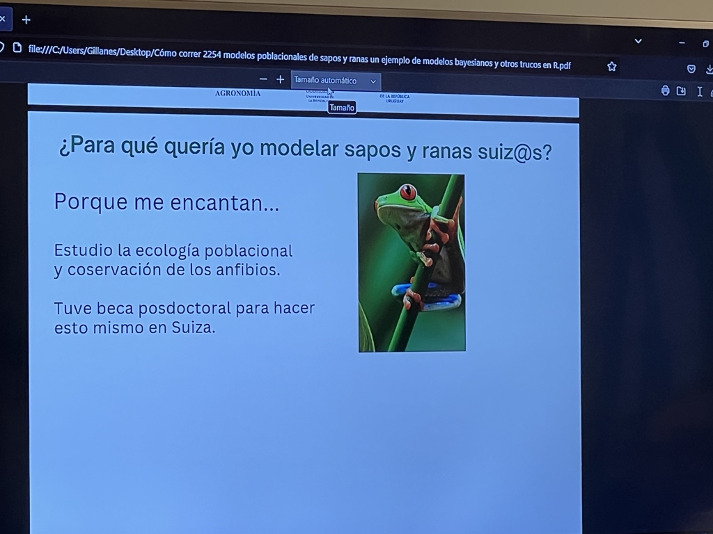 R-Ladies Montevideo tweet media