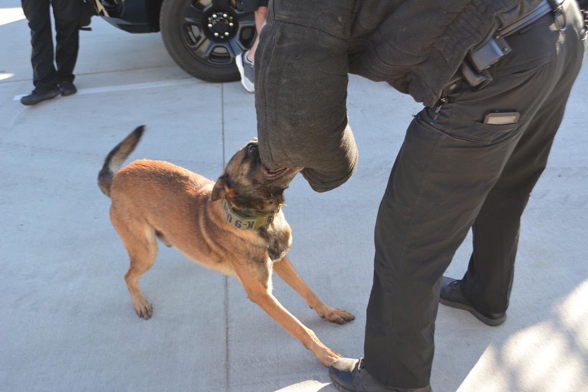 DenisonTexasPD's tweet photo. Echo is honored to be sponsored by these Hot Cocoa Participants! To show his appreciation, Echo demonstrated some of his favorite moves. 

Even though we are grateful for Echo’s talents, we are also grateful to have some of the most talented Hot Cocoa makers representing the DPD! https://t.co/lW7RSkGKxs
