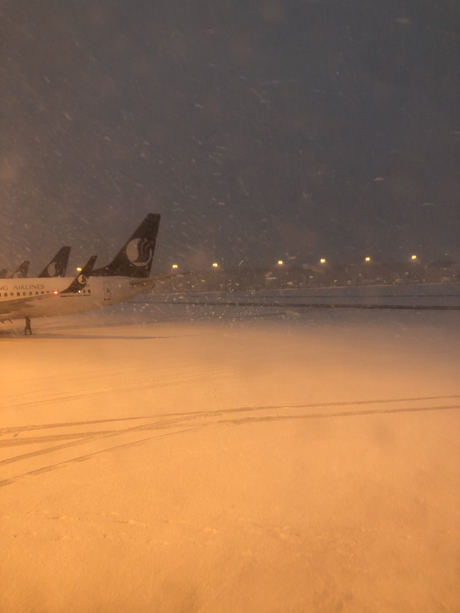 MathLife's tweet photo. 许久未见过的鹅毛大雪 https://t.co/nmQoC9I2Jd